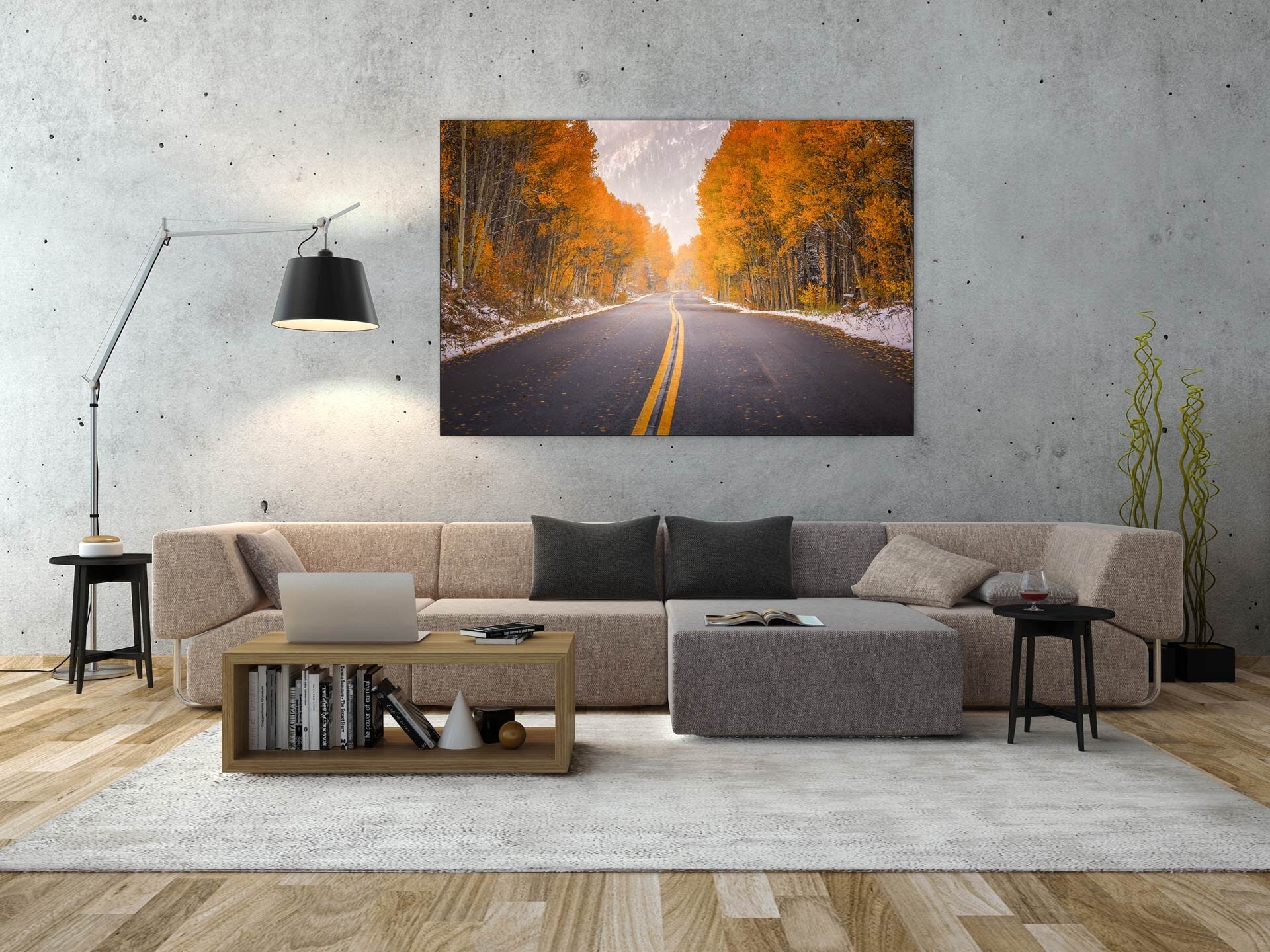 Follow The Colors - Aspen, Colorado Fall Fine Art (Metal & Bamboo Prints)