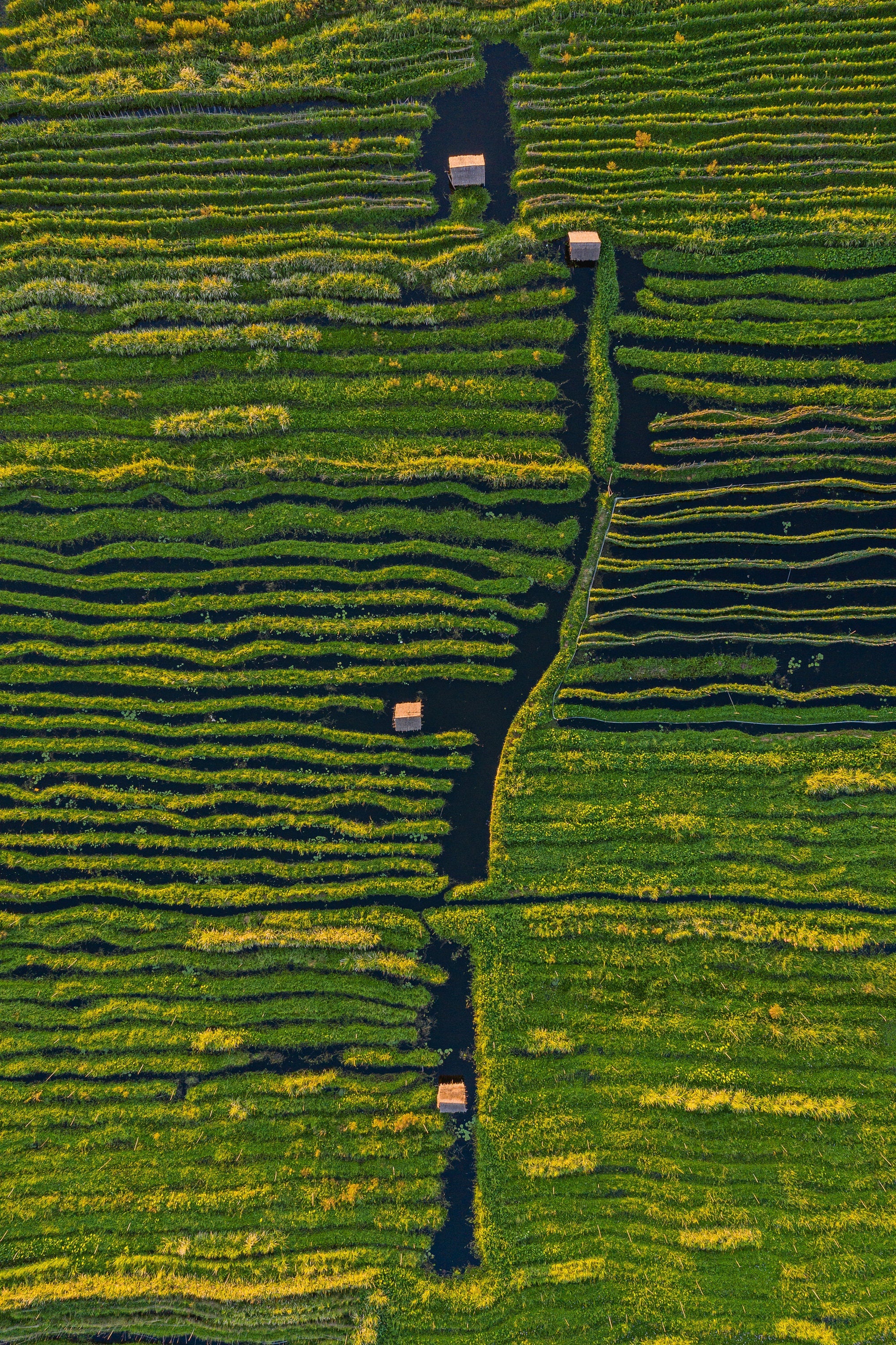 Floating Gardens - Inle Lake Myanmar - Aerial Fine Art Photography (Metal & Bamboo Prints)