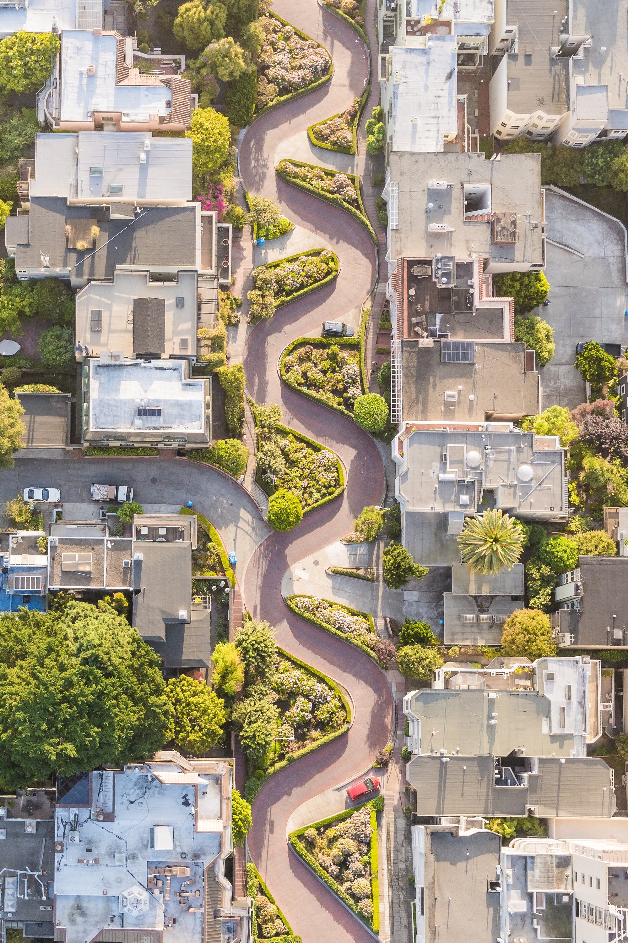 Lombard Street - San Francisco Aerial Fine Art Photography (Metal & Bamboo Print)