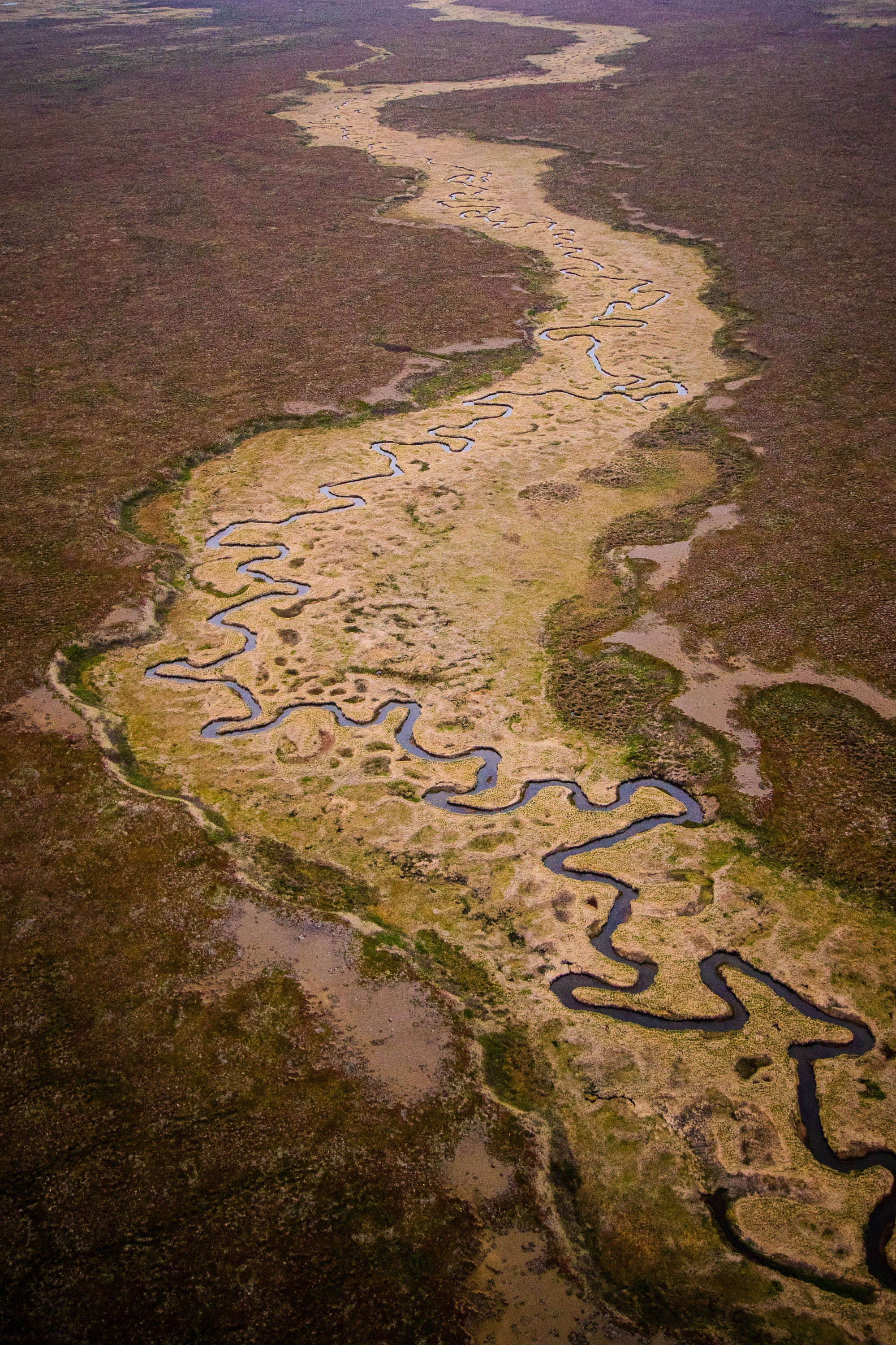 Aleutian River II - Aerial Alaska Fine Art Photography (Metal & Bamboo Prints)