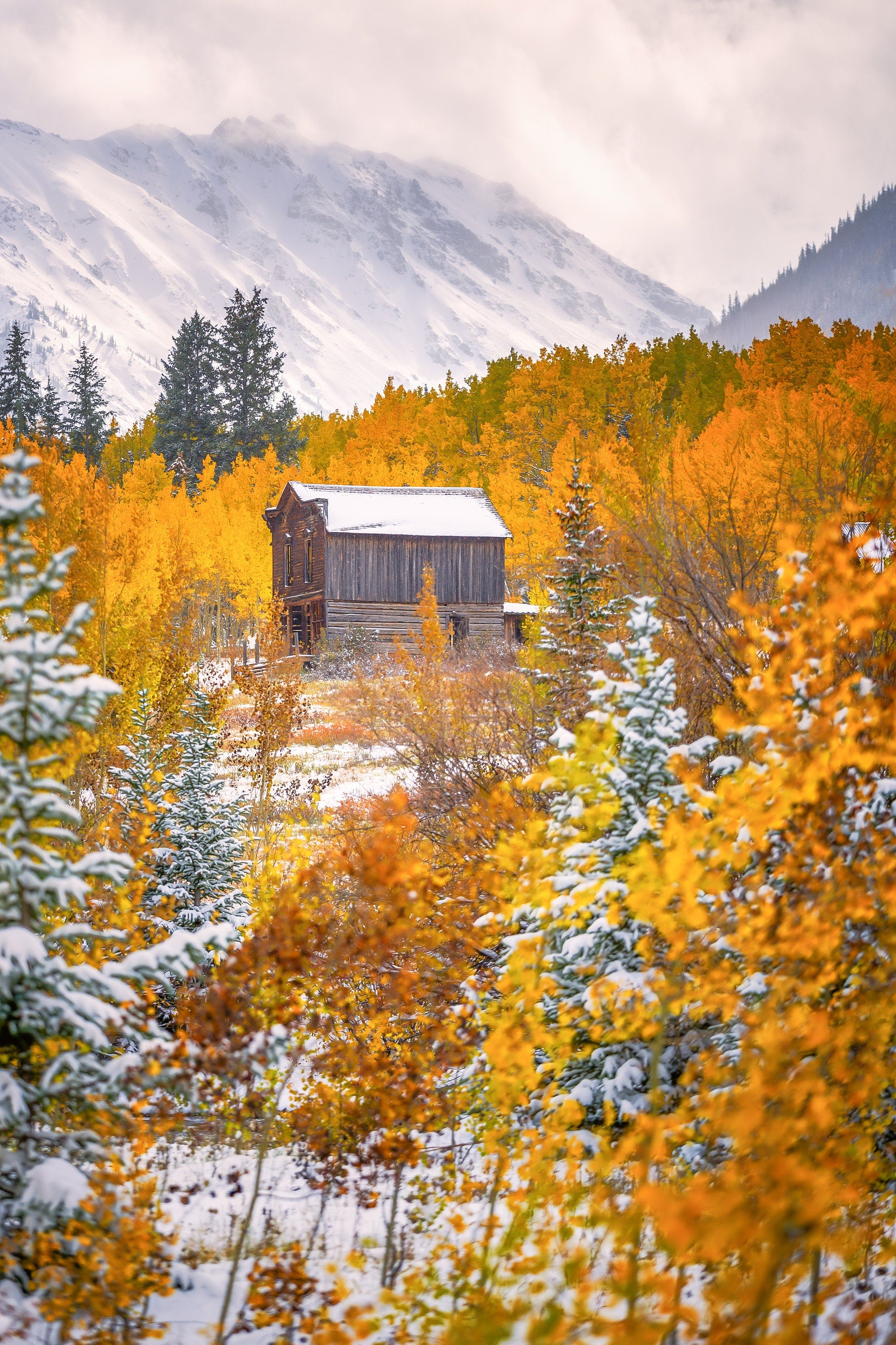 Fall in Ashcroft - Colorado Fine Art Photography (Metal & Bamboo Prints)