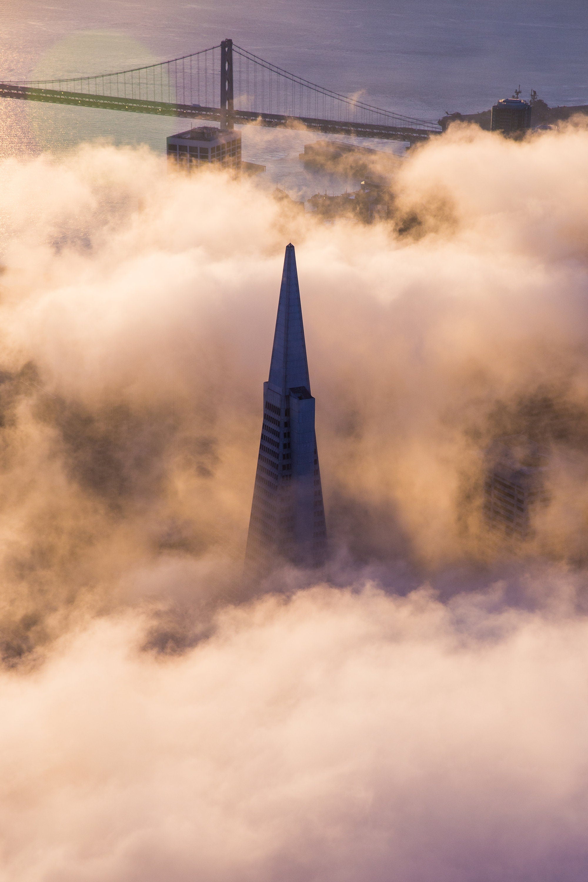 Foggy Transamerica Sunrise - San Francisco Aerial Photography (Metal & Bamboo Print)