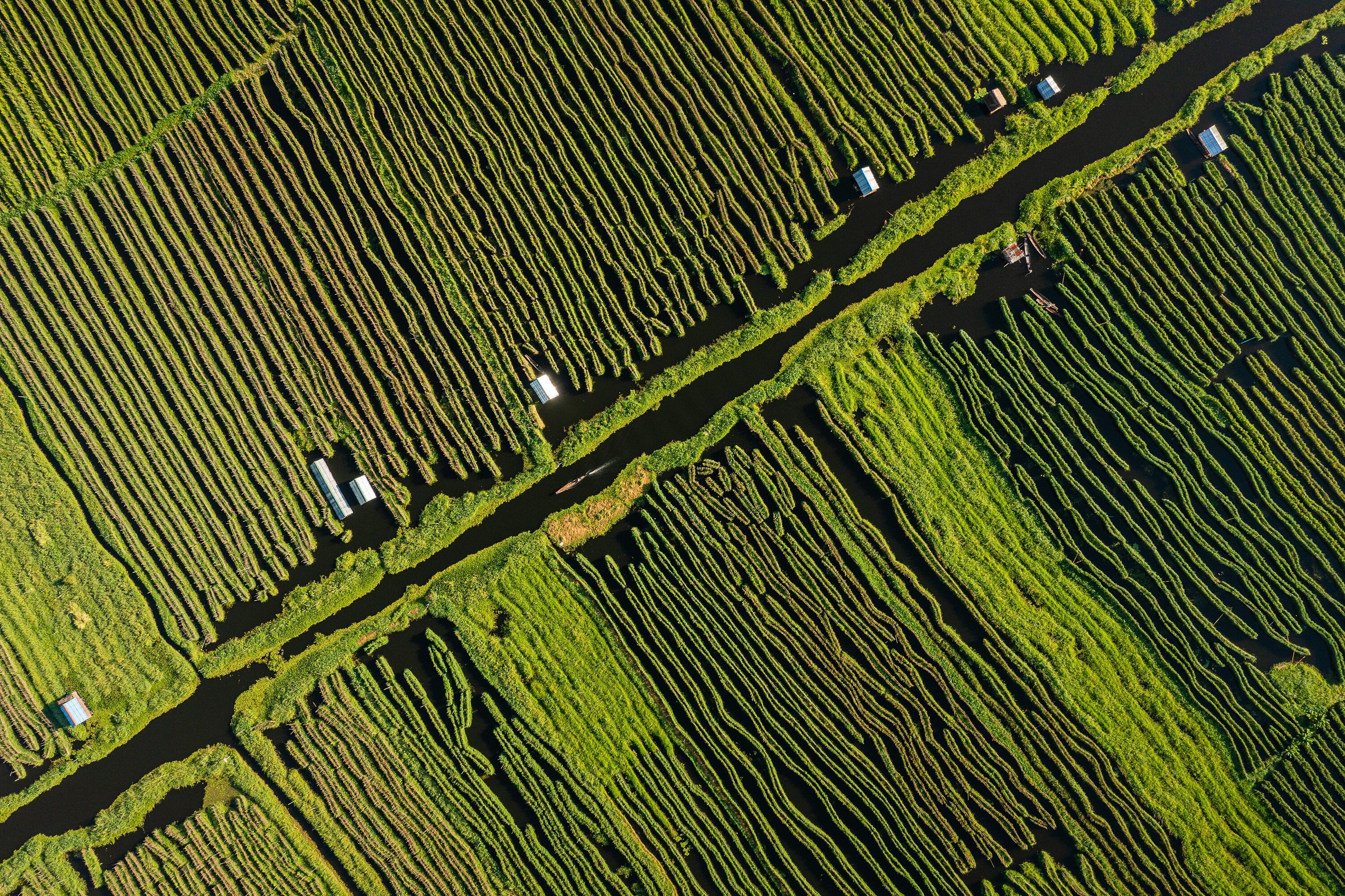 Floating Gardens - Inle Lake Myanmar - Aerial Fine Art Photography (Metal & Bamboo Prints)