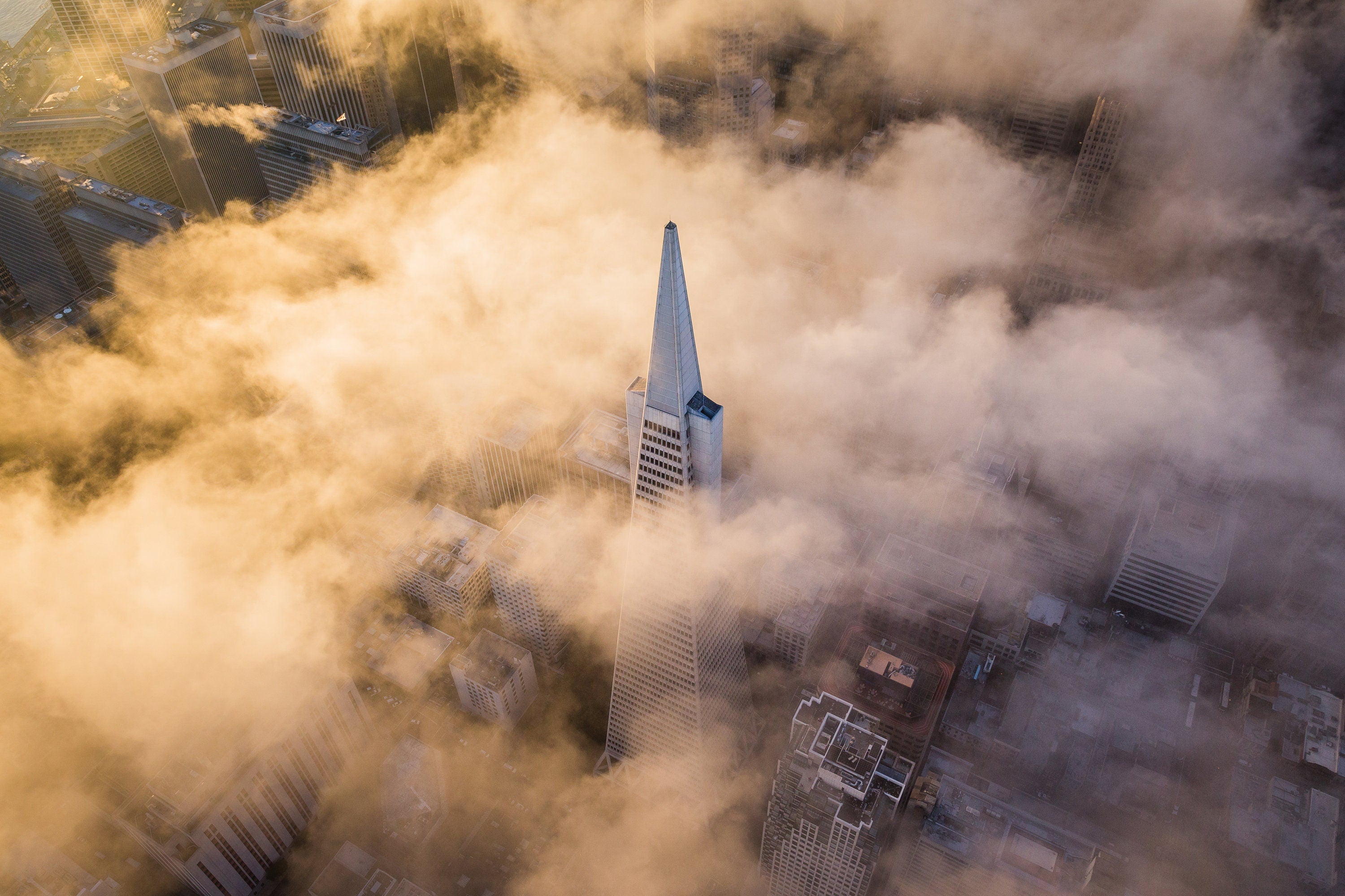 Transamerican Dreams - Foggy Sunrise - San Francisco Fine Art Aerial Photography  (Metal & Bamboo Print)