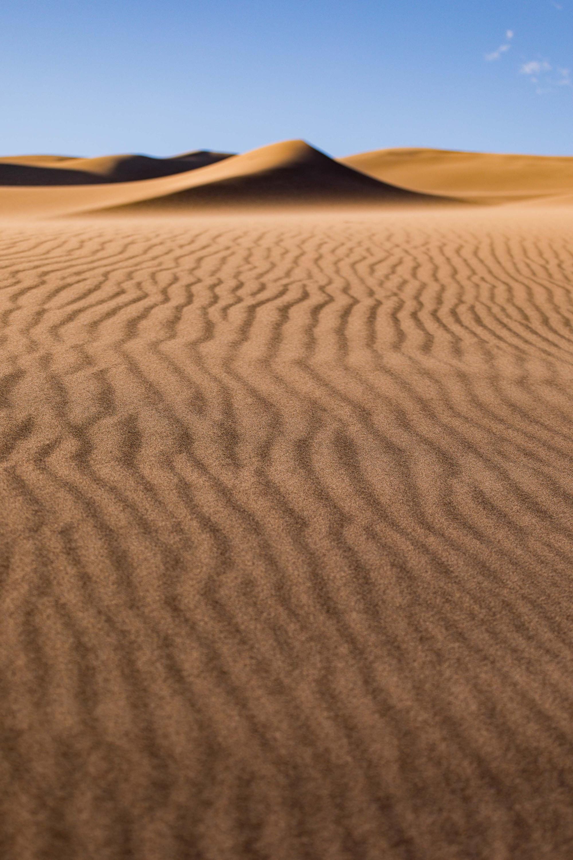 a sandy area with a blue sky in the background