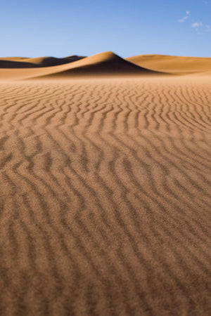 a sandy area with a blue sky in the background