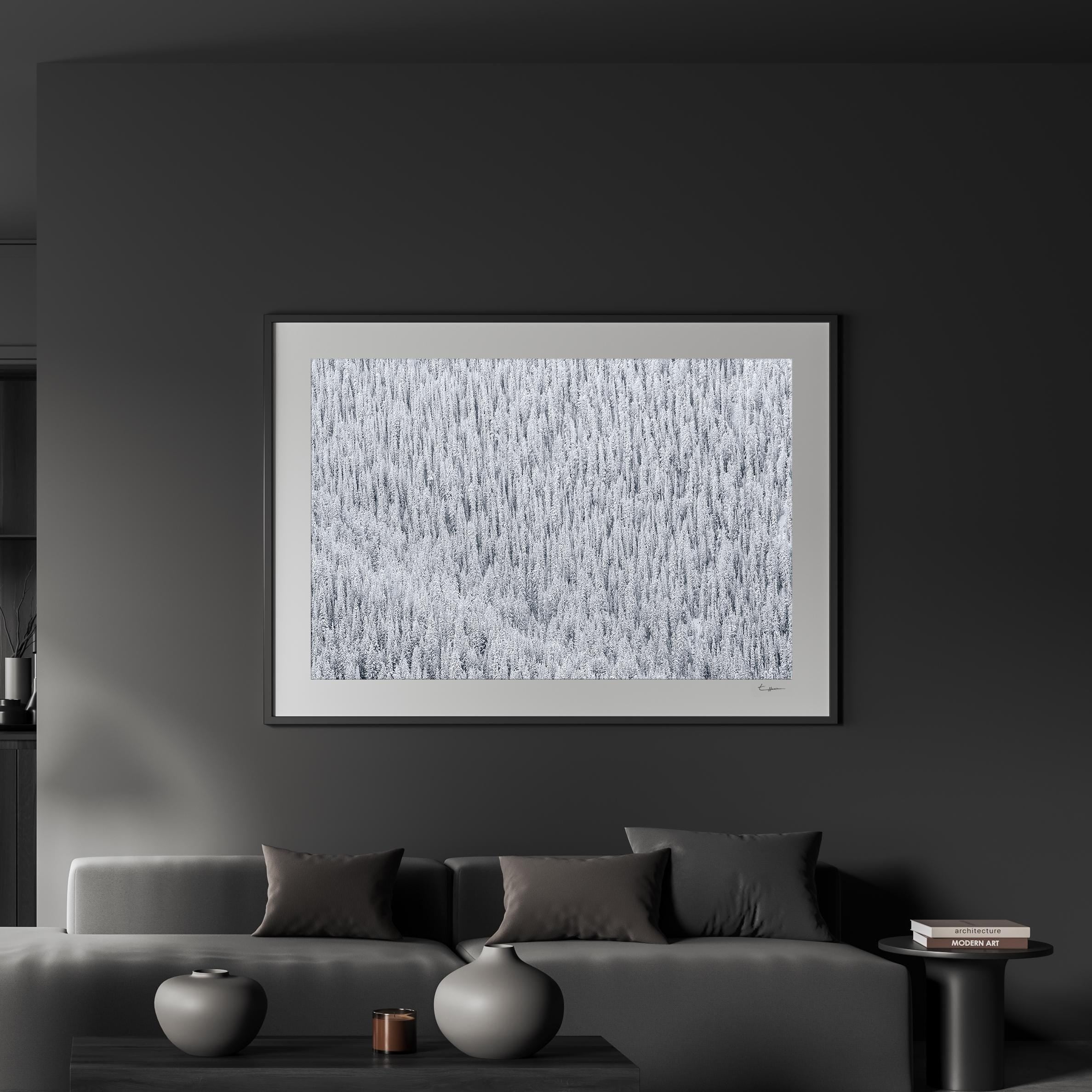 a black and white living room with a large painting on the wall