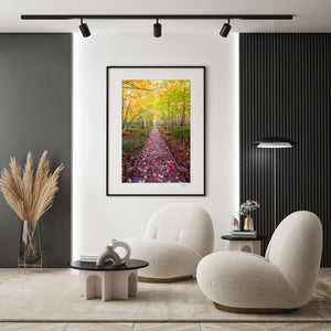 a living room with a picture hanging on the wall